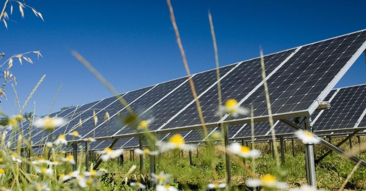 IEA: Solar overtakes all energy sources in a major global first